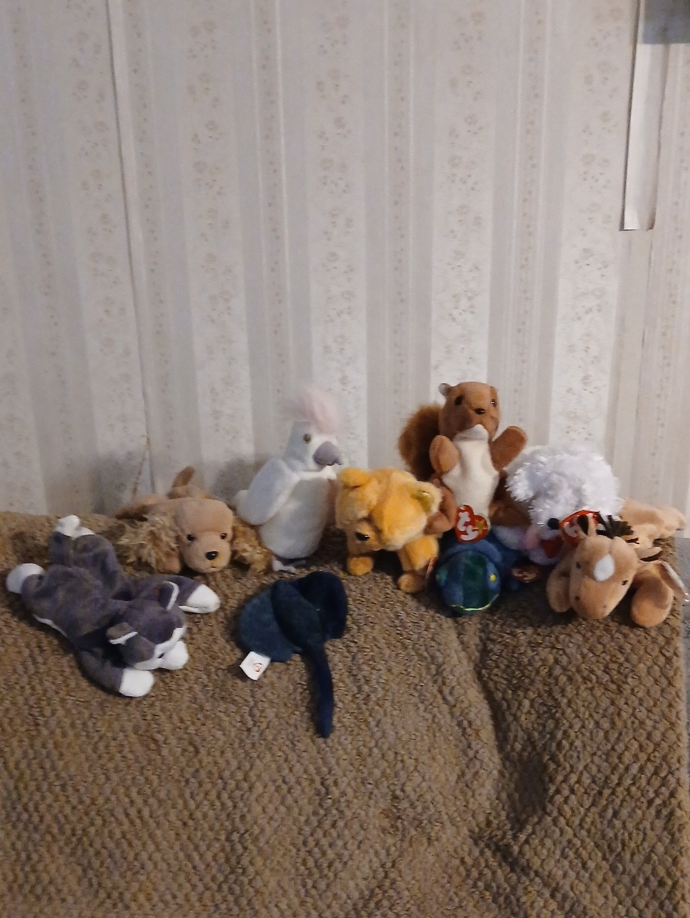 Ty Plush Assorted Small Pets - Brown, White, Cream, Tan